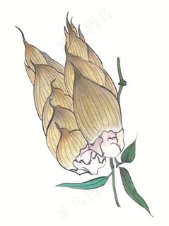 瓜果蔬菜鱼虾蟹系列摄影图片 瓜果蔬菜鱼虾蟹系列摄影图片