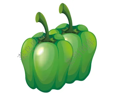 青菜椒矢量图