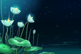 国风夜晚荷花荷叶大气背景