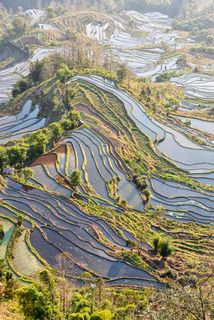 老虎嘴梯田
