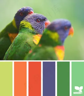 动物配色色卡色彩搭配