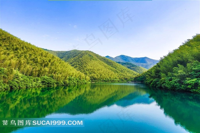 南山竹海景区风景图片