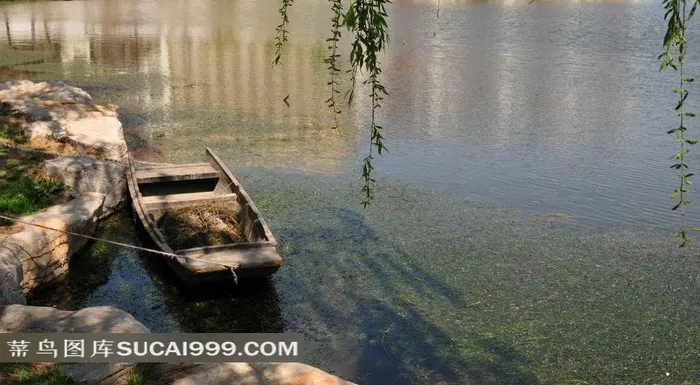 天津西沽公园小船摄影