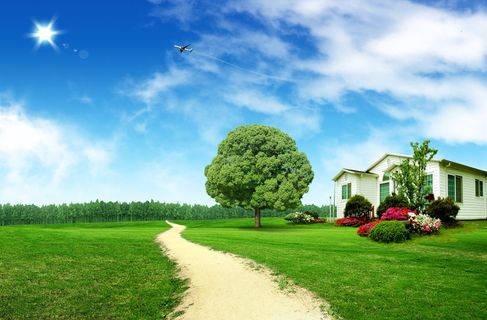 韩式自然背景 (48)