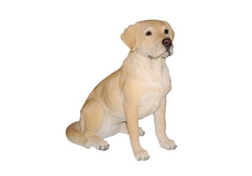 拉布拉多犬 PNG免抠(650x455)
