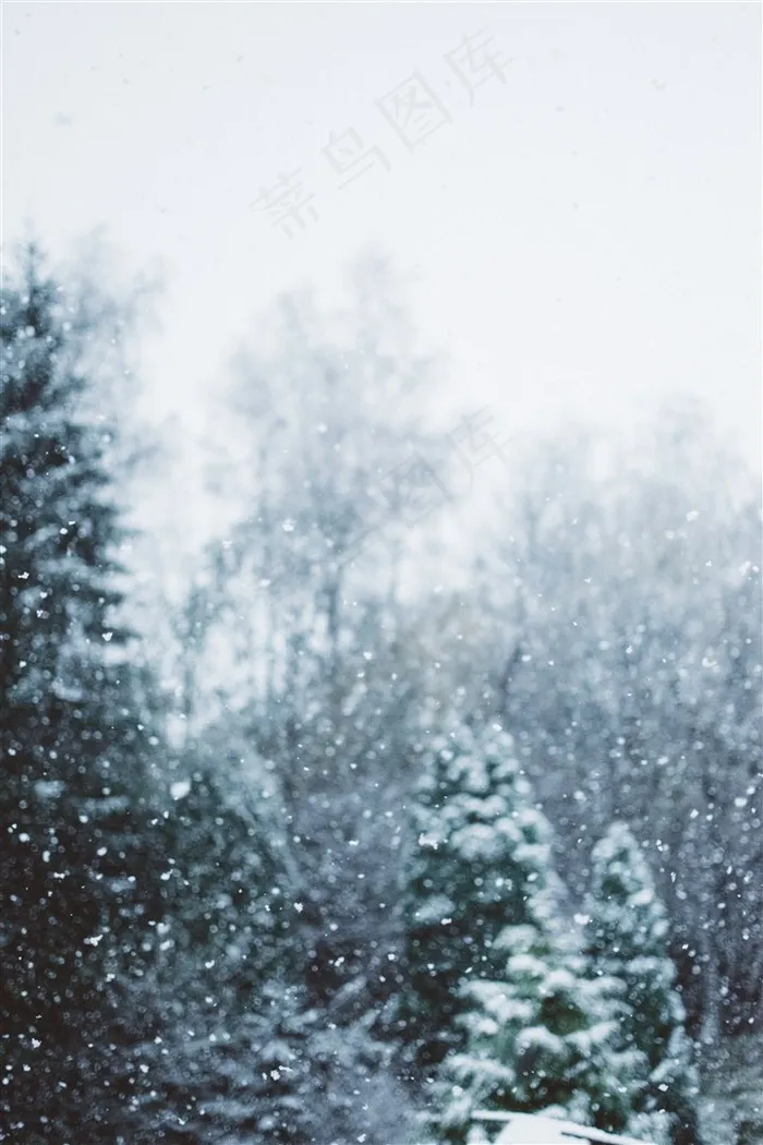 冬天下雪时的美景高清大图