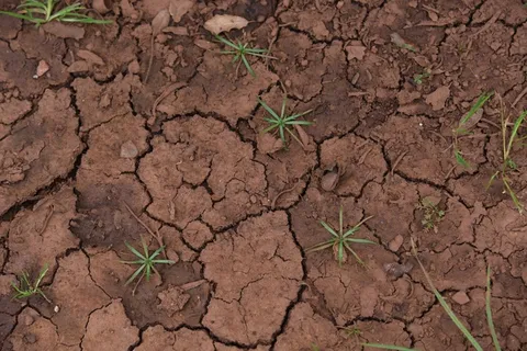 地面干裂缝纹理图片 地面干裂缝纹理图片