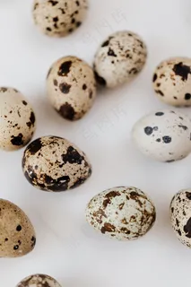 新鲜鹌鹑蛋图片 新鲜鹌鹑蛋图片