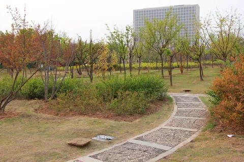 公园石子小路稀疏小树