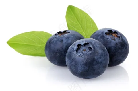 新鲜的蓝莓水果图片
