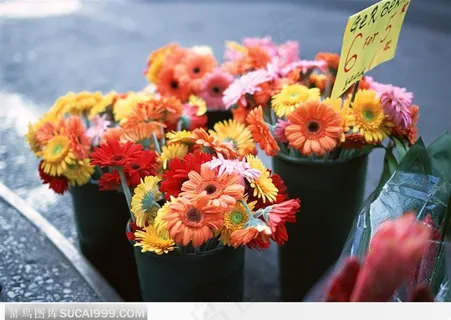 漂亮的插花艺术