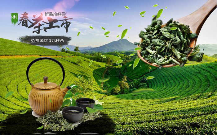 设计茶叶春茶上市素材psd模版下载