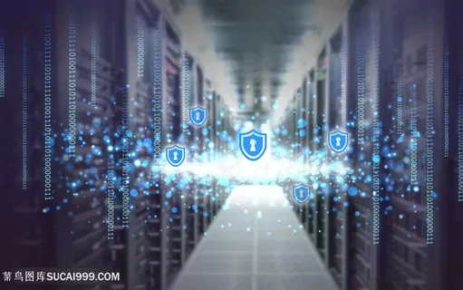 机房信息安全网络护卫维护 机房信息安全网络护卫维护
