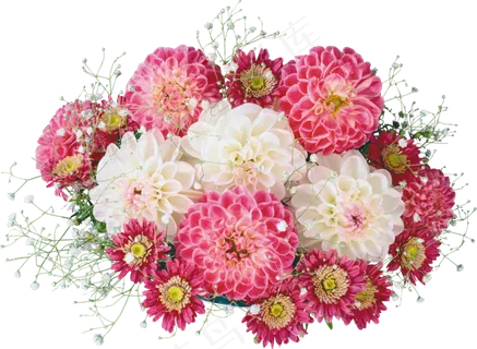 花饰和花束  花饰和花束