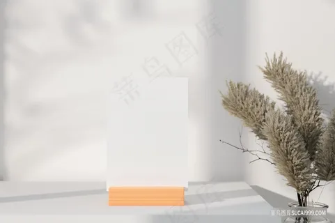 白色静物场景空间 白色静物场景空间