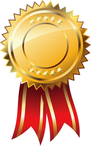 金色徽章红色丝带少儿兴趣班