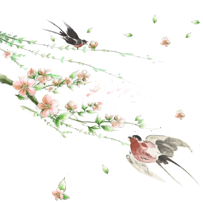 粉色简约风手绘鲜花花朵水墨画PNG素材图片 (85)