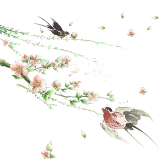 粉色简约风手绘鲜花花朵水墨画PNG素材图片 (85)