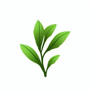 一支绿色的叶子png免抠