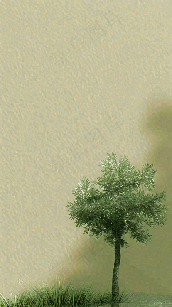 简约绿色叶子影子纹理