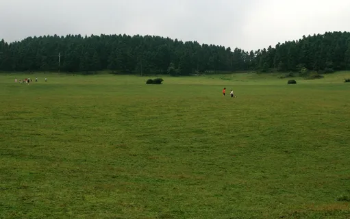 草场风景图片-第8张