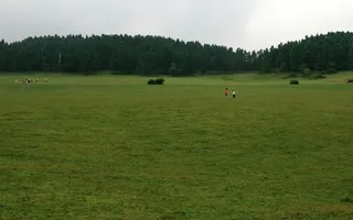 草场风景图片-第8张