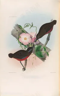 树枝上喂食的小鸟高清油画图片 树枝上喂食的小鸟高清油画图片