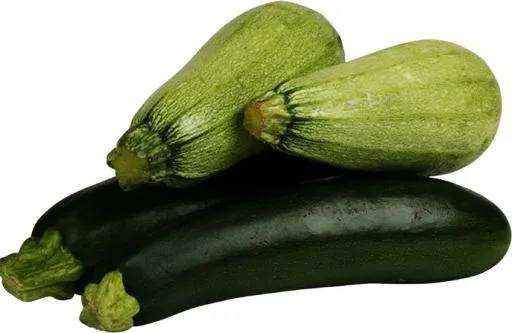 骨髓 PNG免抠(687x448)