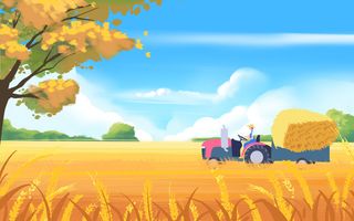 秋天立秋麦田丰收插画海报背景