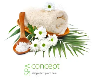 spa美容养生图片素材下载