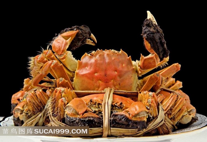 阳澄湖大闸蟹 清水螃蟹