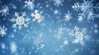 立冬吃饺子美食摄影图