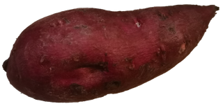 生鲜蔬菜烤红薯紫薯地瓜掰开花青素免抠实拍高清摄影元素素材