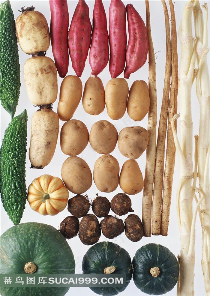 土豆南瓜苦瓜高清图片下载