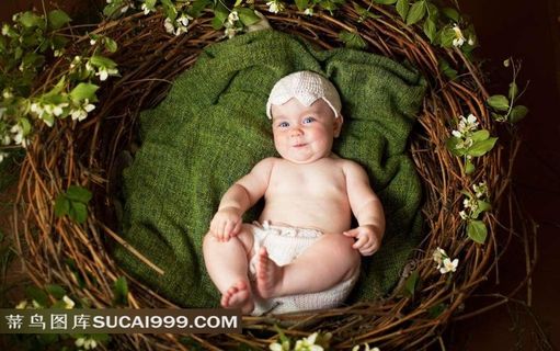 草窝里坏笑的外国宝宝