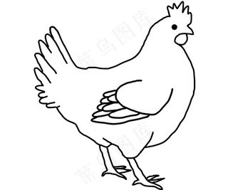 鸡的简笔画图片