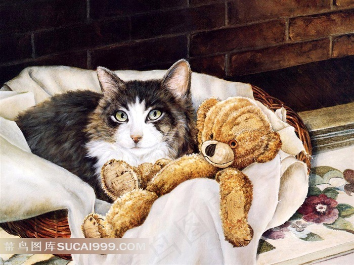 小猫小熊插画素材