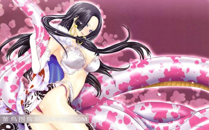 海贼王女帝壁纸