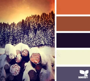 冬天系配色色卡色彩搭配