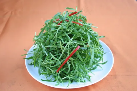 1356凉拌神仙草.JPG 1356凉拌神仙草.JPG