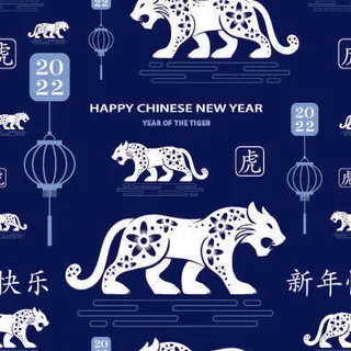 春节新年中国风虎年老虎元素平铺背景大图插画AI矢量设计素材