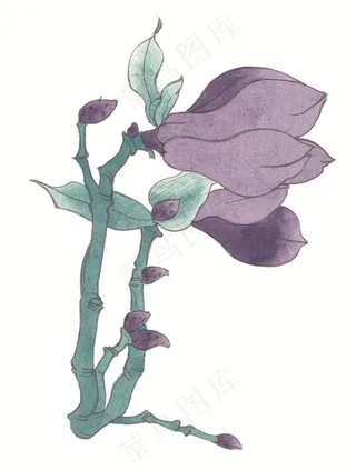 国画瓜果蔬菜鱼虾蟹大图摄影图片