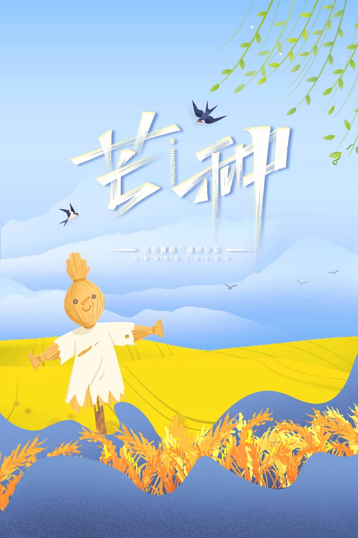 芒种 芒种海报psd模版下载