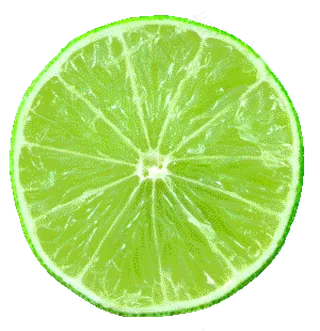 青柠檬免抠素材 (47)