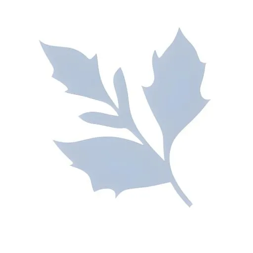 叶子紫色免抠(2048x2048)