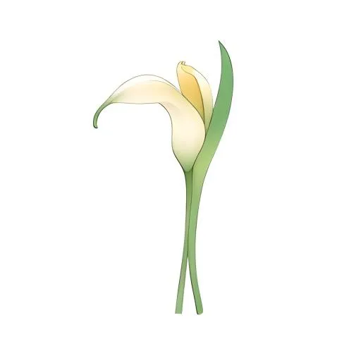 花马蹄莲免抠