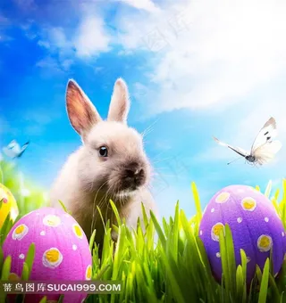 复活节彩蛋兔子高清图片