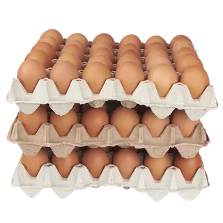 鹌鹑蛋 (超市商品白底图免抠实物摄影png格式图片透明底020