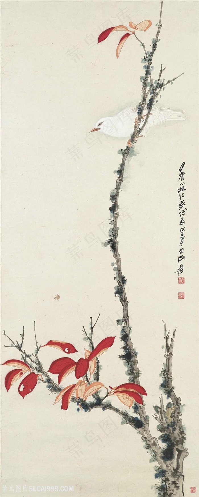 张大千树枝与鸟国画图片