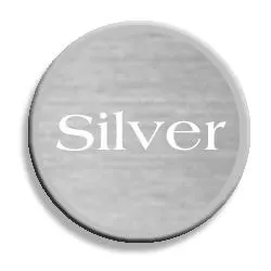 银色 PNG免抠(250x250)